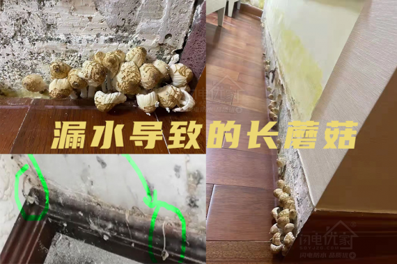 衛(wèi)生間漏水維修必看的防水知識科普！